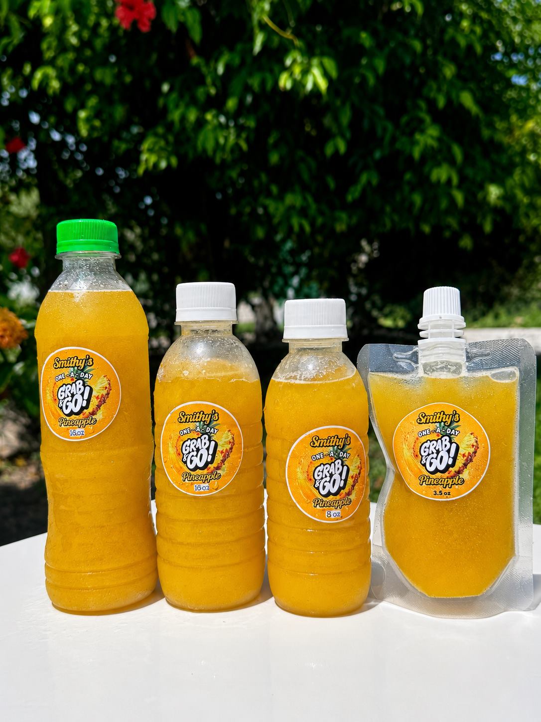 Pineapple One-A-Day Grab-&-Go Set